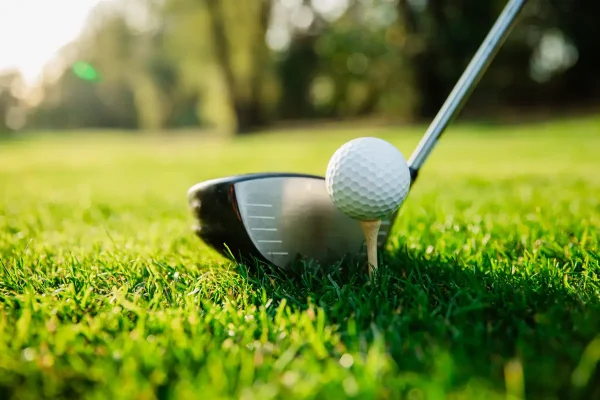 neighborhood-golfing_1